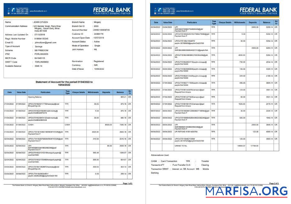 Blank India Federal bank account statement word 3 pages download for verification